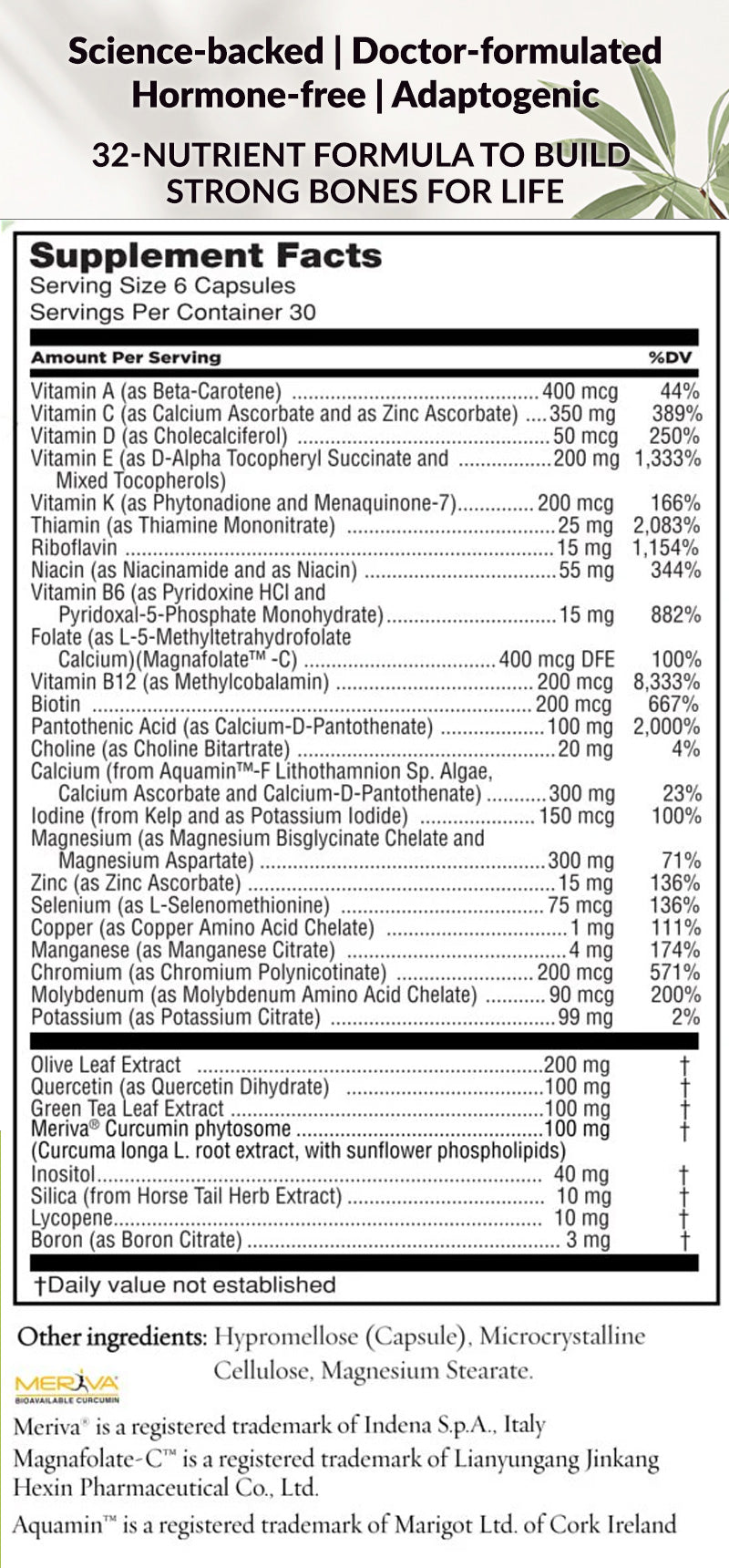 Ingredients