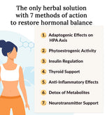 Herbal Equilibrium™